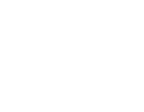 Cousiño Macul