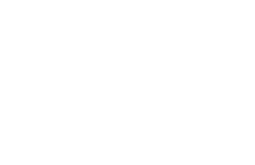 Viña Undurraga